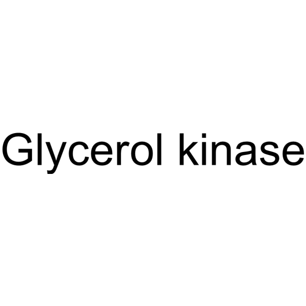 Glycerol kinase (GyK) 9030-66-4
